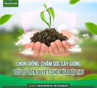 CH VTNN PHƯỚC THẠNH