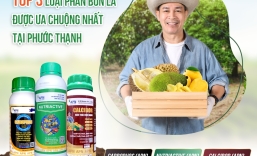 CH VTNN PHƯỚC THẠNH
