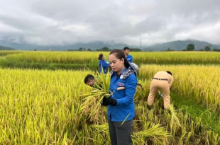 CH VTNN PHƯỚC THẠNH