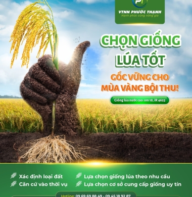 CH VTNN PHƯỚC THẠNH