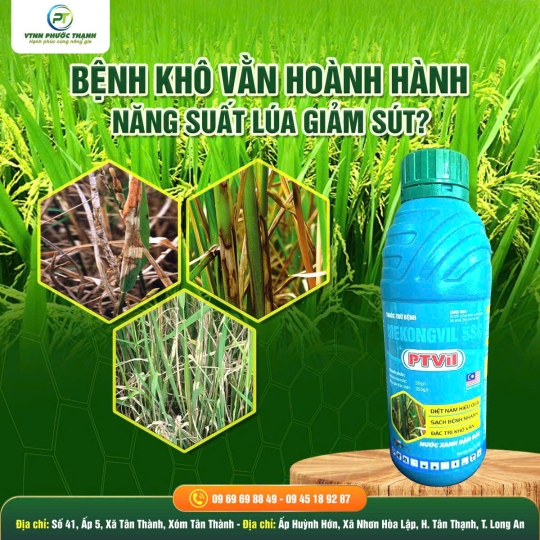 CH VTNN PHƯỚC THẠNH