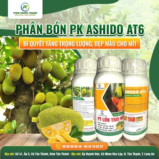 CH VTNN PHƯỚC THẠNH