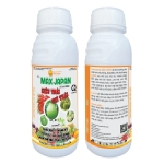 MAX JAPAN