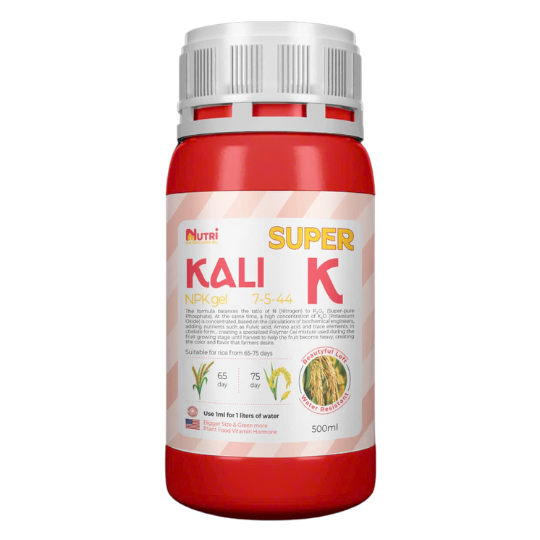 SUPER KALI 
