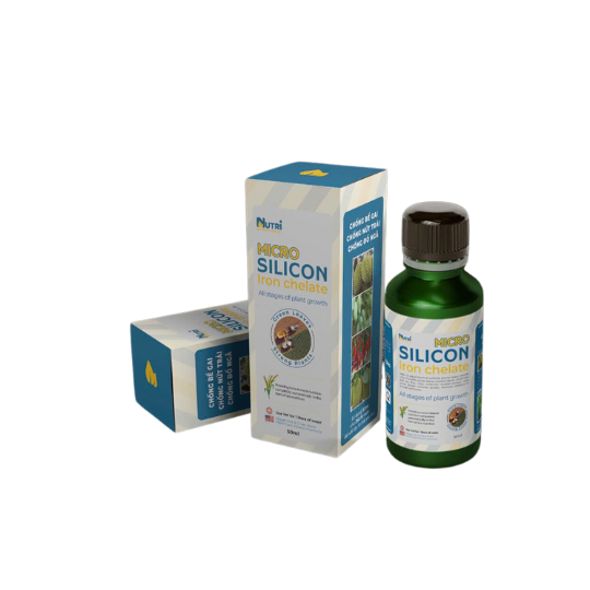CH VTNN PHƯỚC THẠNH